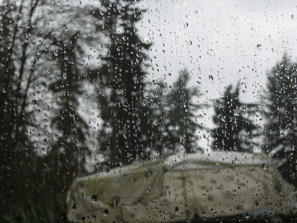 A rain-speckled window framing trees and a neighboring roof.