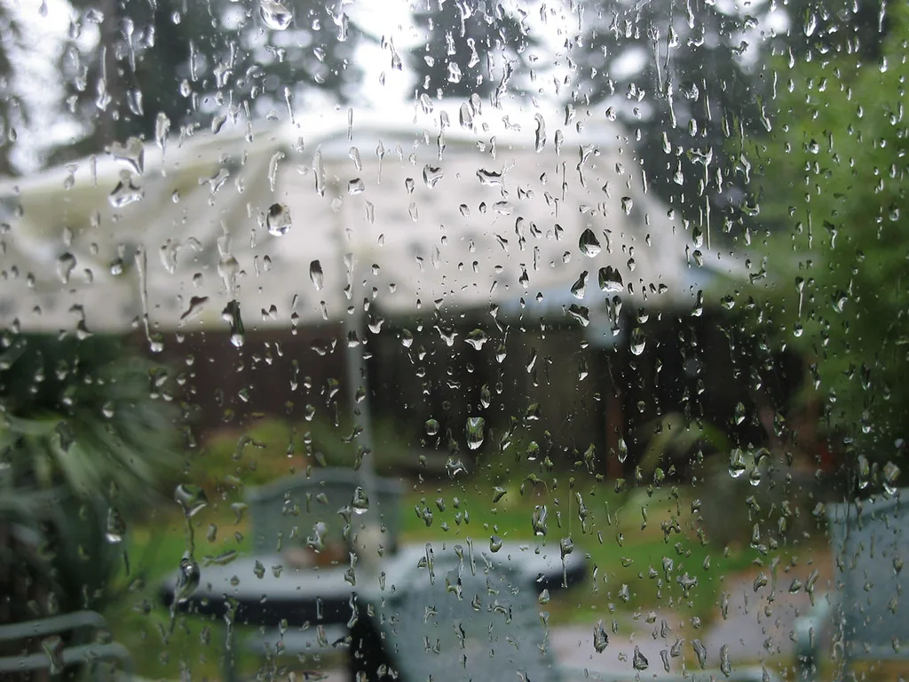 Raindrops on a household window with a garden visible beyond.