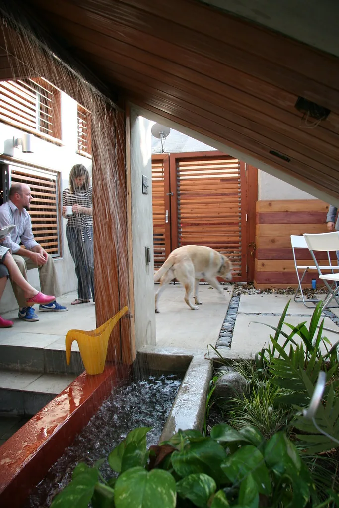 People and a dog sharing a small sheltered courtyard.