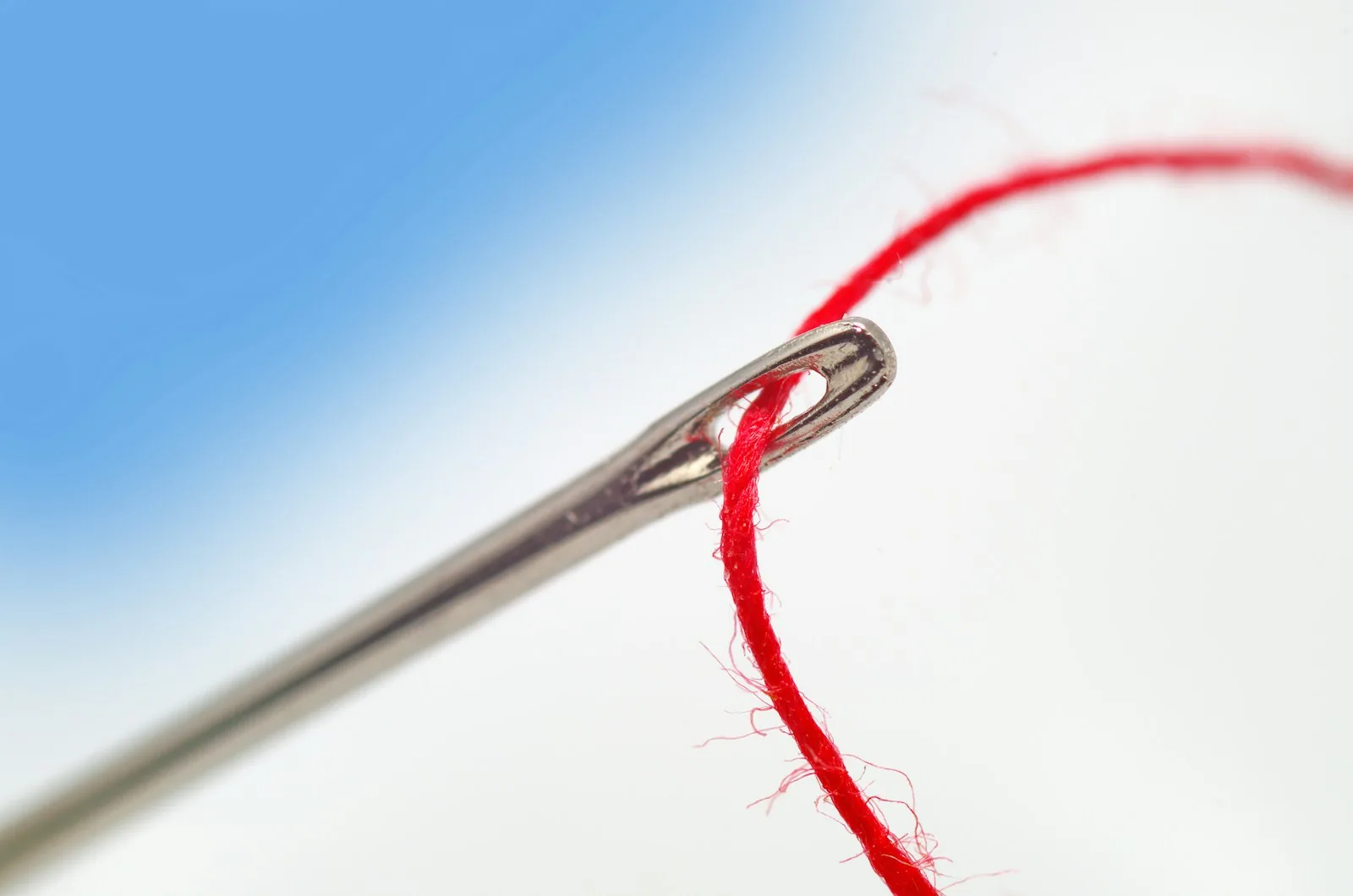 A hand-sewing needle threaded with red thread.